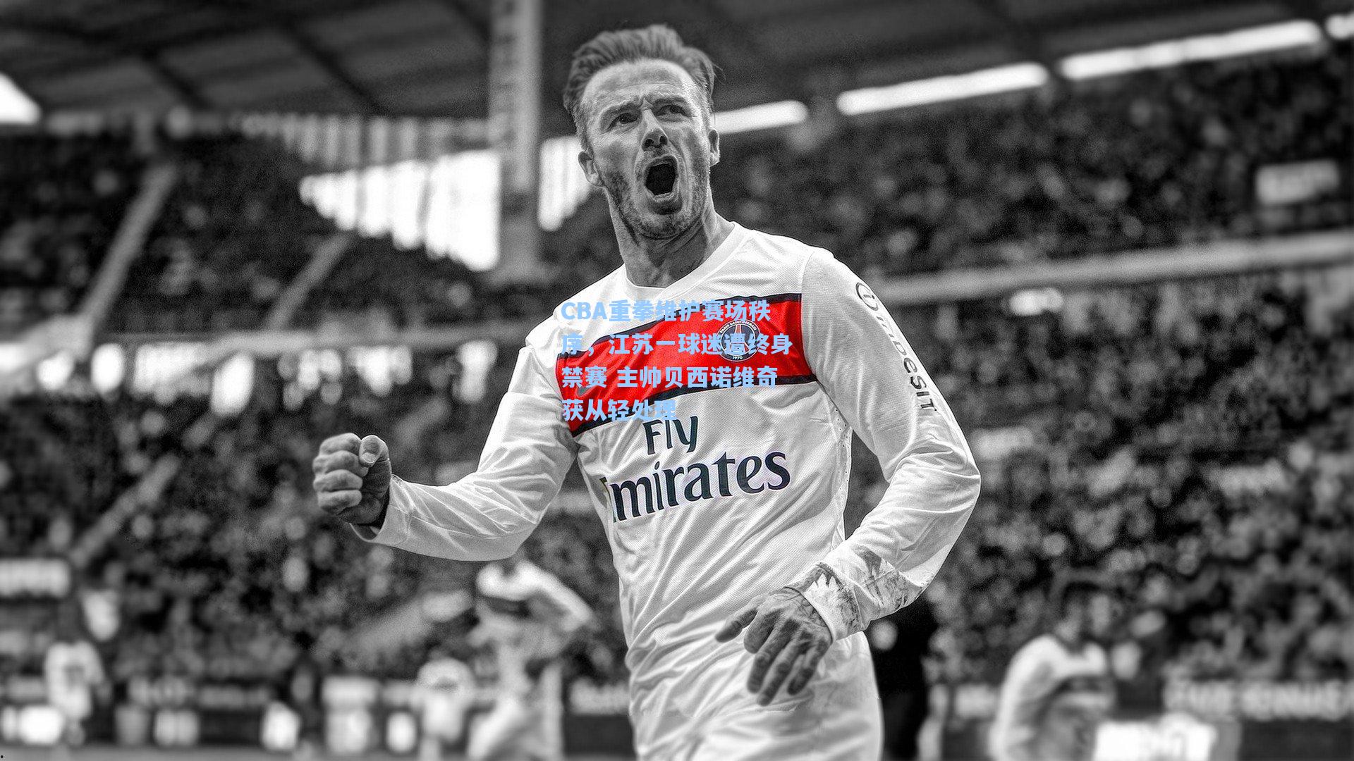 CBA重拳维护赛场秩序，江苏一球迷遭终身禁赛 主帅贝西诺维奇获从轻处理